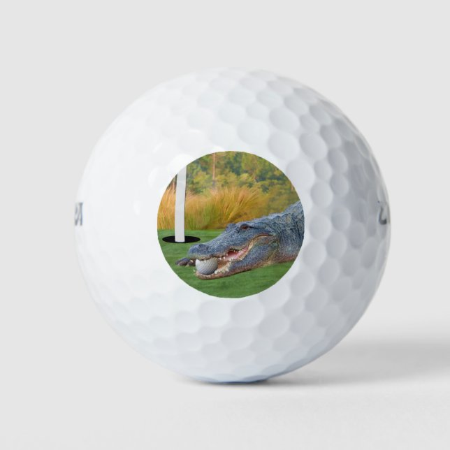 Alligator, Gefährliche Lie auf dem Golfplatz Golfball (Vorderseite)