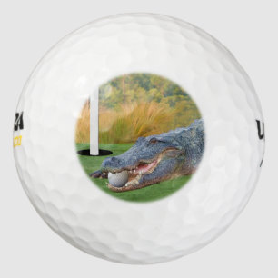Alligator, Gefährliche Lie auf dem Golfplatz Golfball