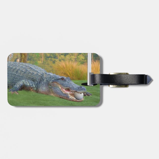Alligator, gefährliche Lüge im Golf Gepäckanhänger (Rückseite horizontal)