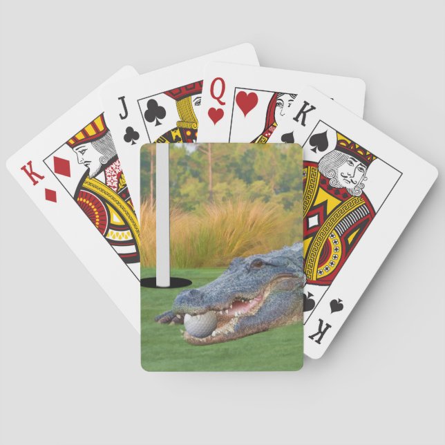 Alligator, gefährliche Lüge im Golf Spielkarten (Rückseite)