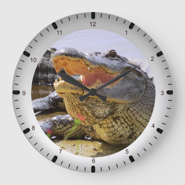 Alligator Große Wanduhr (Vorderseite)