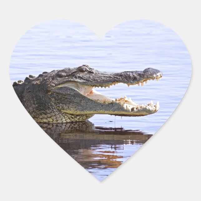 Alligator Herz-Aufkleber (Vorderseite)