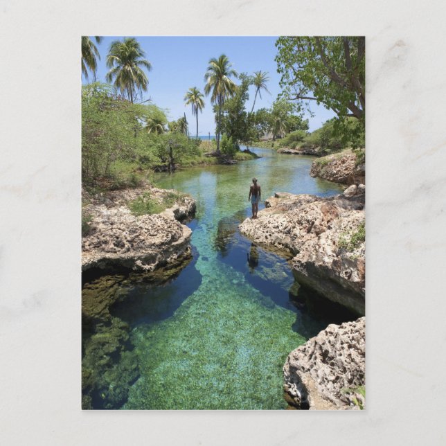Alligator Hole, Black River Town, Jamaika Postkarte (Vorderseite)