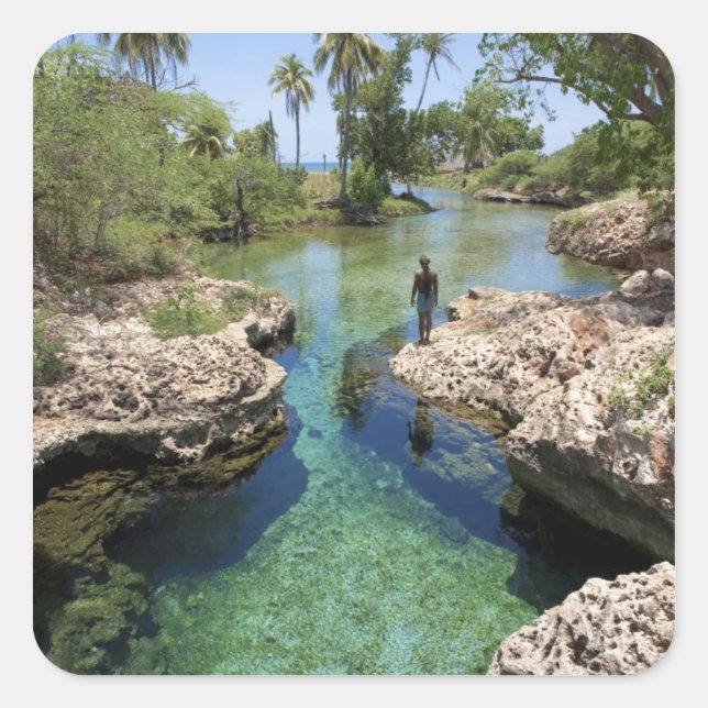 Alligator Hole, Black River Town, Jamaika Quadratischer Aufkleber (Vorderseite)