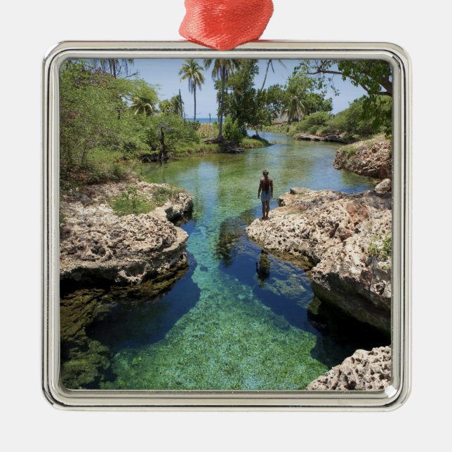 Alligator Hole, Black River Town, Jamaika Silbernes Ornament (Vorne)