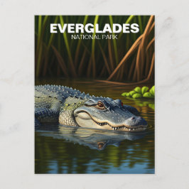 Alligator im Wasser Everglades Nationalpark Postkarte