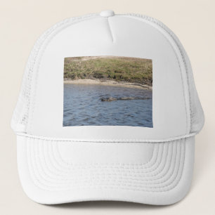 Alligator im Wasserhahn Truckerkappe
