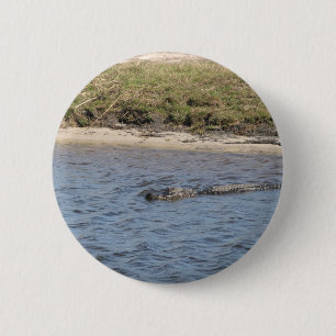 Alligator im Wasserschalter Button