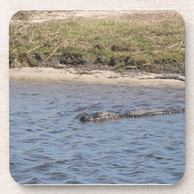 Alligator im Water Cork Untersetzer (Vorderseite)