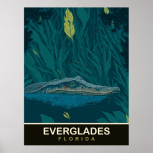 Alligator in den Everglades, Florida, Reise Poster