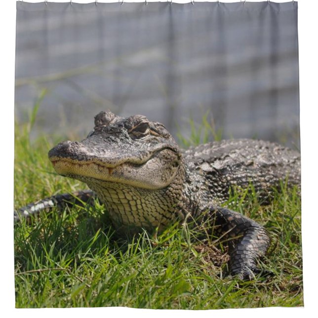 ALLIGATOR in der DUSCHE Duschvorhang (Vorderseite)