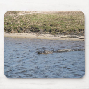 Alligator in der Wasserrutsche Mousepad