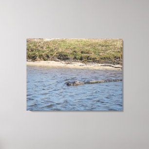 Alligator in der wasserummantelten Canvas Leinwanddruck