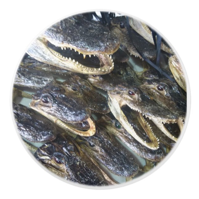 Alligator Keramikknauf (Vorderseite)