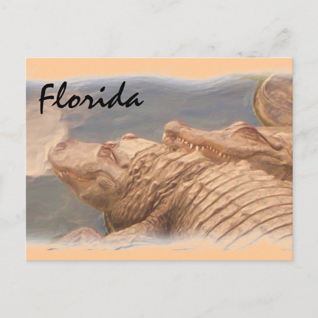Alligator Liebe Florida Postkarte (Vorderseite)