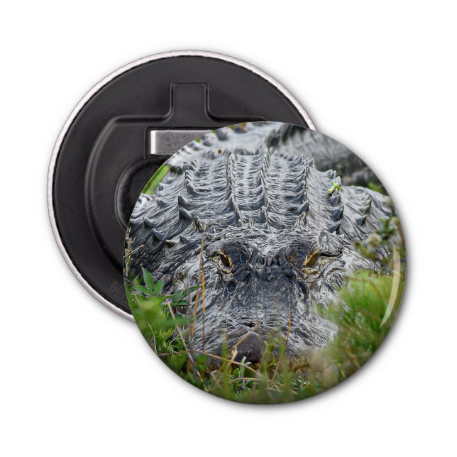Alligator Magnet Flaschenöffner (Vorderseite)