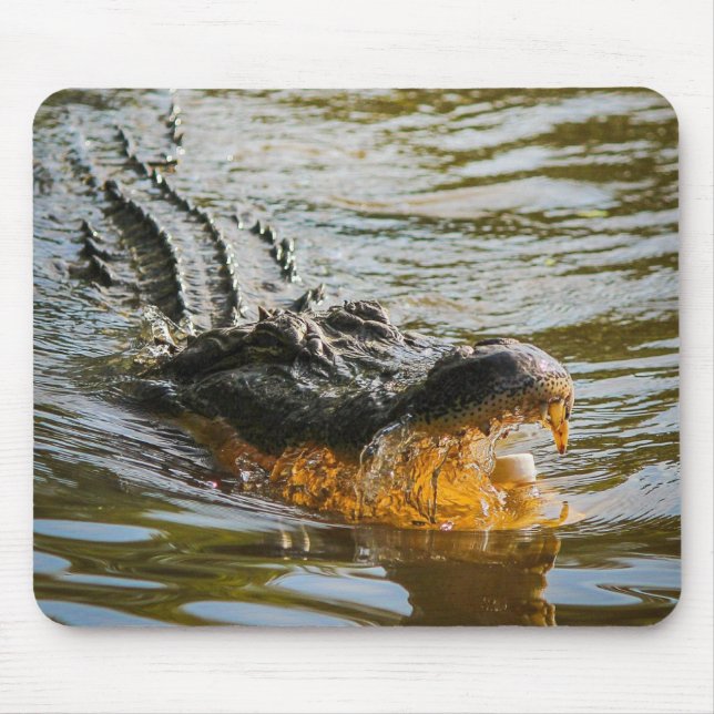 Alligator-Mauspad Mousepad (Vorne)
