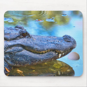 Alligator mit Golfball Mousepad