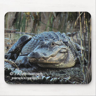 Alligator Mousepad