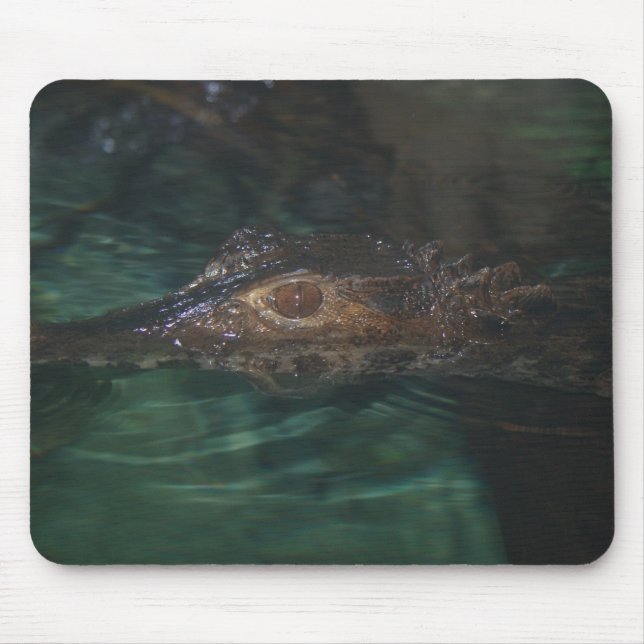 Alligator Mousepad (Vorne)