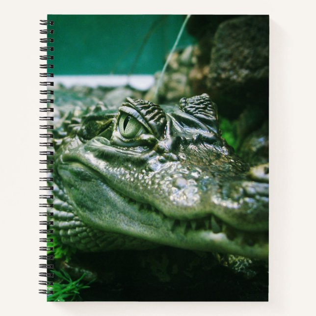 Alligator Notizbuch (Vorderseite)
