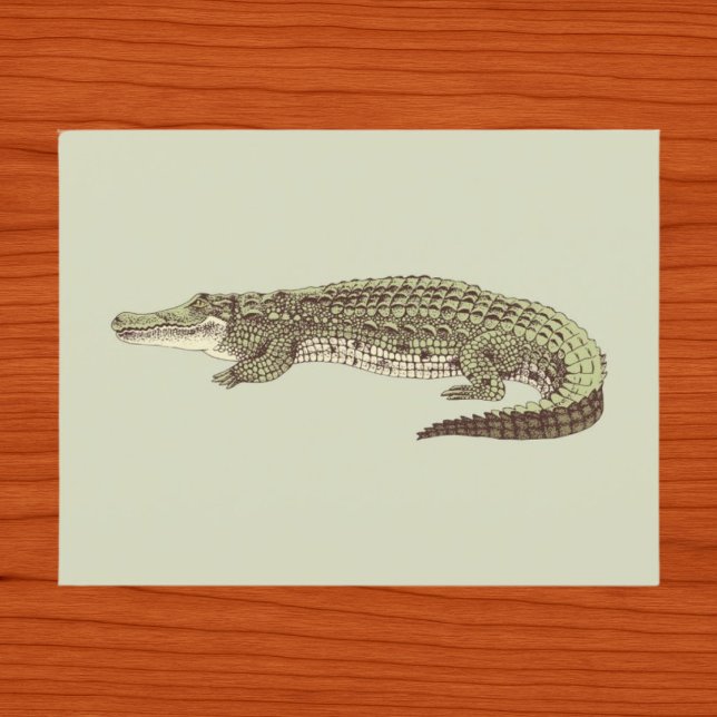 Alligator Postkarte (Von Creator hochgeladen)