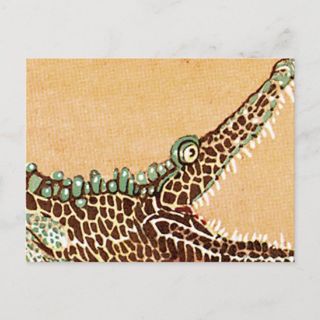 Alligator Postkarte (Vorderseite)
