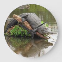 Alligator - Réflexions du temps - Horloge murale