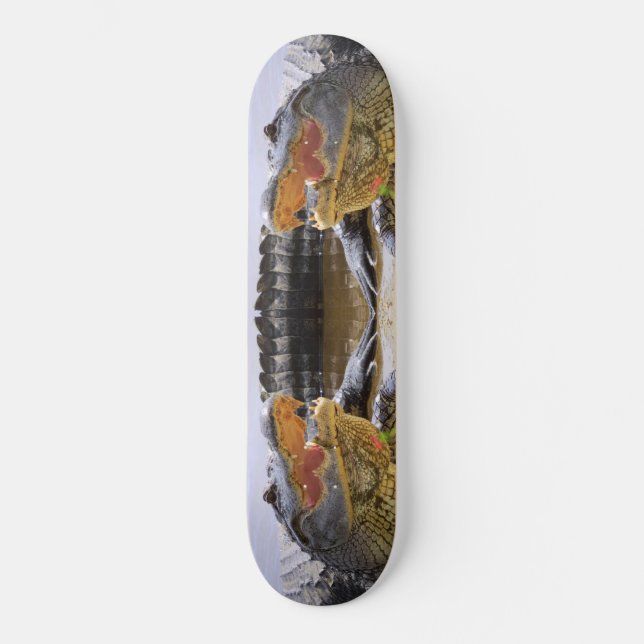 Alligator Skateboard (Vorderseite)