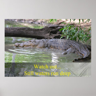Alligator Still Waters läuft Deep Poster