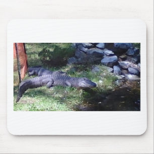 Alligator! Tierdesign Mousepad
