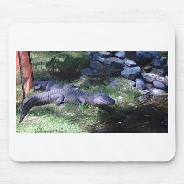 Alligator! Tierdesign Mousepad (Vorne)