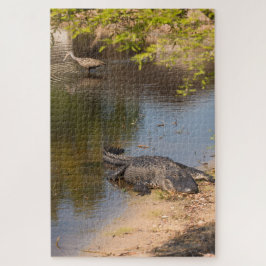 Alligator und Carrao-Vogel in Florida-Feuchtgebiet