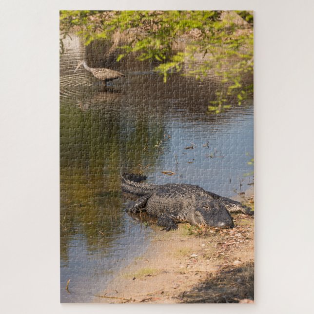 Alligator und Carrao-Vogel in Florida-Feuchtgebiet (Vertikal)