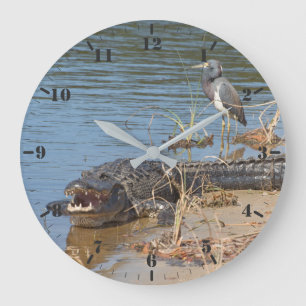 Alligator und Trikolon Große Wanduhr
