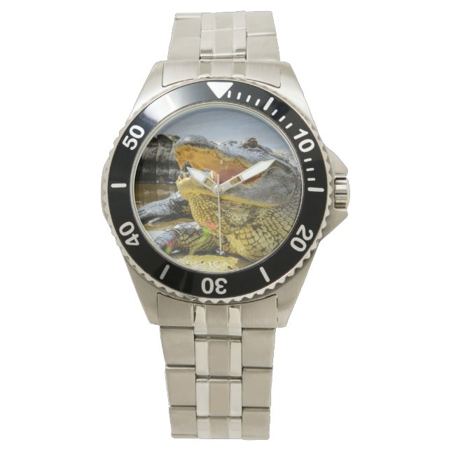 Alligator. Von Angesicht zu Angesicht. Armbanduhr (Vorderseite)