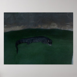 Alligator ~ What's in the Dark? ~ Poster / Print