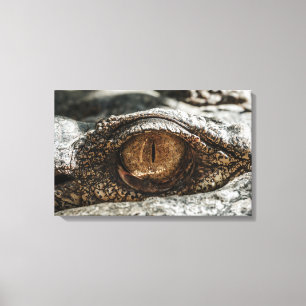 ALLIGATORaugen-NAHAUFNAHME Leinwanddruck