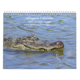 Alligatoren im Wilden 2026 Kalender