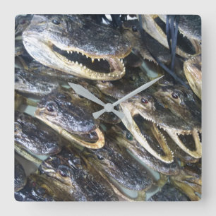 Alligatorhauptuhr Quadratische Wanduhr