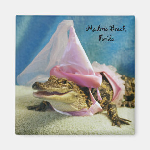 Alligatormagnet Magnet