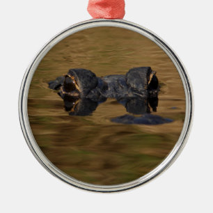 Alligatoroberflächenbearbeitung Silbernes Ornament