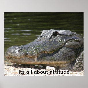 ALLIGATORplakat Poster