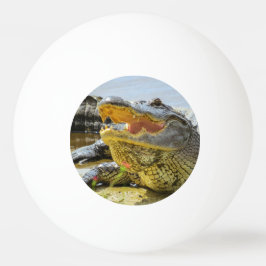 Alligatorportrait Tischtennisball