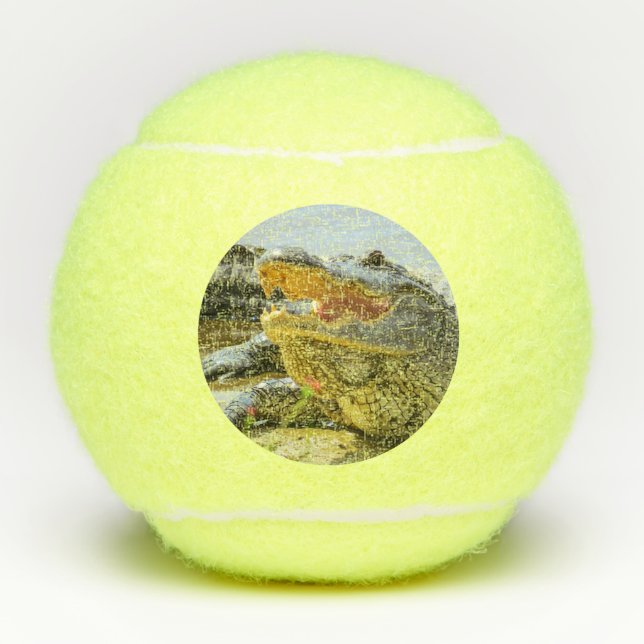 Alligatorporträt. Vertraulich. Tennisbälle (Vorderseite)