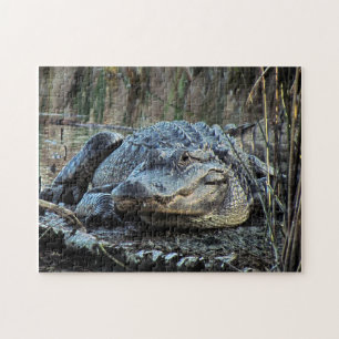 Alligatorpuzzle