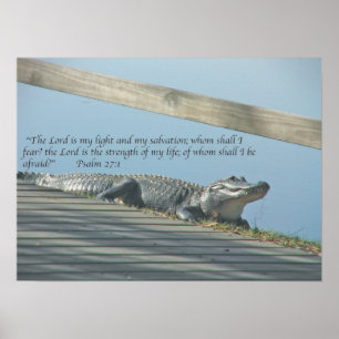 AlligatorSchrift Poster