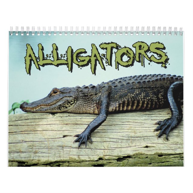 Alligatorwandkalender Kalender (Titelbild)