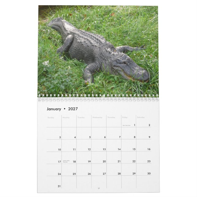 Alligatorwandkalender Kalender (Jan 2027)