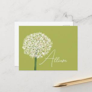 Allium-Blumen Botanische Kunst Elegante Flora Postkarte